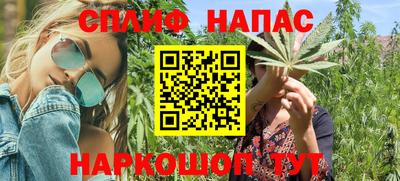 шишки Абинск