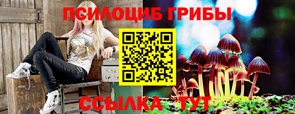 Галлюциногенные грибы прущие грибы Ачхой-Мартан