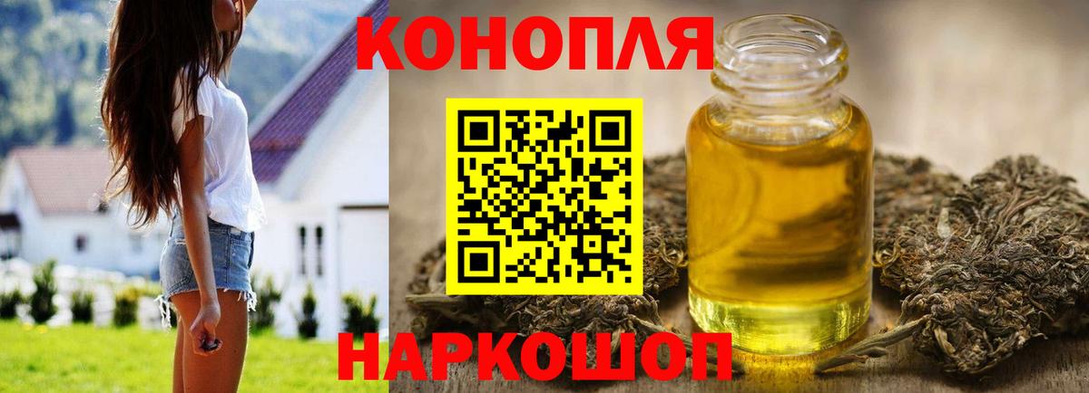 Бошки Шишки семена Ачхой-Мартан